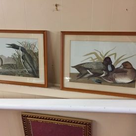 vintage pair of duck prints