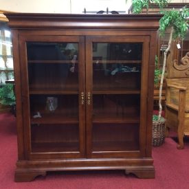 Vintage Bookcase, Bookshelf with Glass Doors