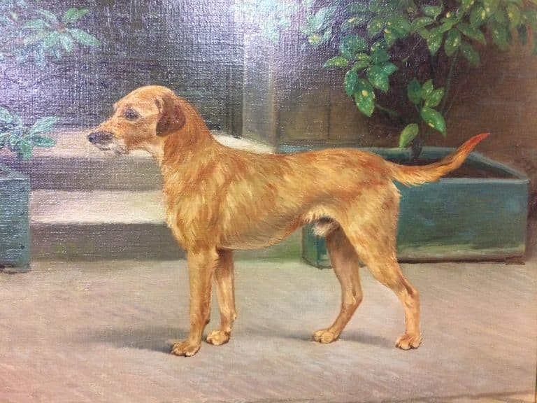 Antique Oil Painting, Signed Oil Painting, Dog Portrait