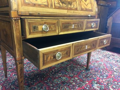 Antique Cylinder Roll Desk, Italian Antique Desk, Burl Wood Desk - Image 6