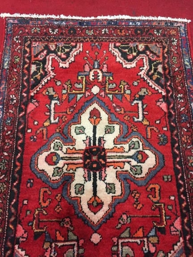 Persian Runner (3 ft 4 by 10 ft 2)